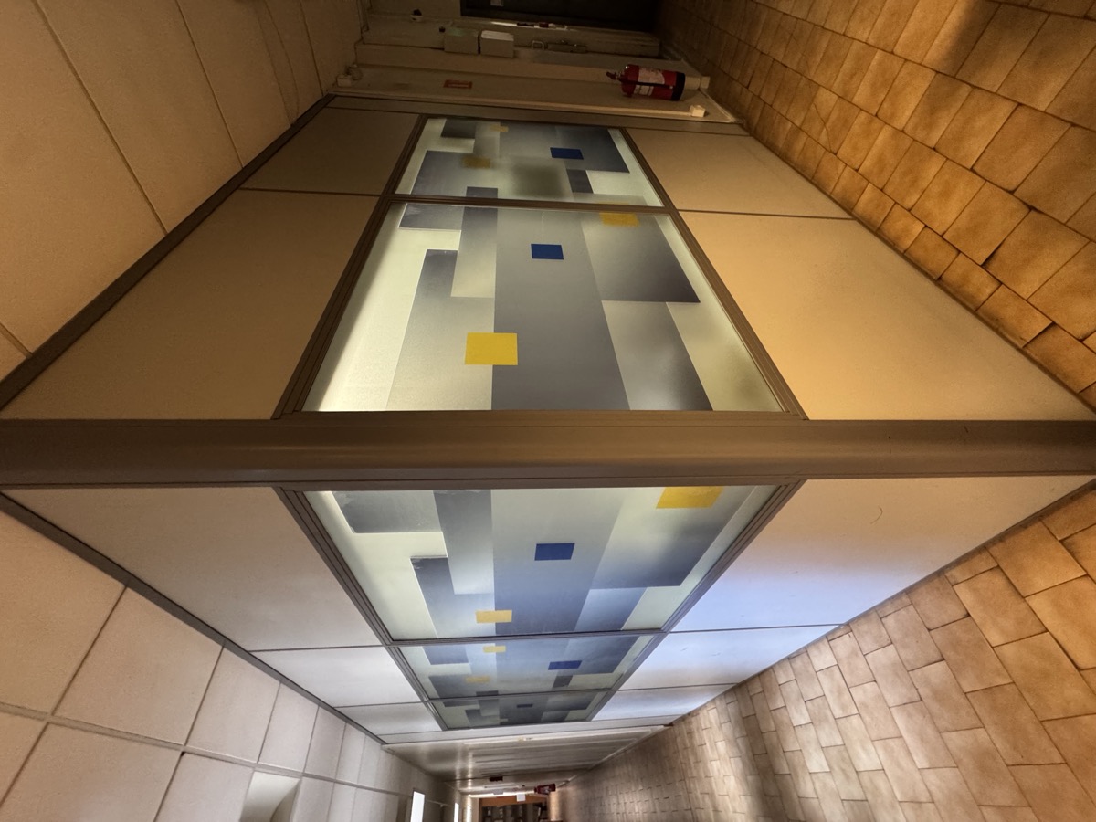 Film décoratif sur vitrage intérieur — Teintée + PACA